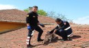 Erbaa’da çatıda mahsur kalan köpeği itfaiye kurtardı
