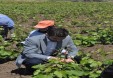 Erbaa Ziraat Odası Başkanlığınca, “14 Mayıs Dünya Çiftçiler Günü” dolayısıyla program düzenlendi.