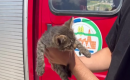 Erbaa’da aracın motor kısmına giren kedi yavrusu itfaiye ekiplerince kurtarıldı