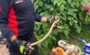 Paniğe neden olan yılan, itfaiye ekipleri tarafından yakalanarak doğaya bırakıldı